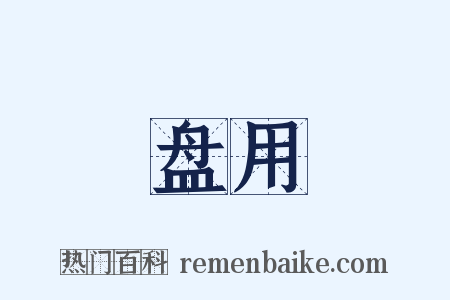 盘用是什么意思的图片